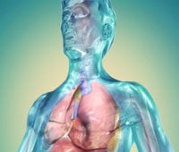 Your Body in 3-D