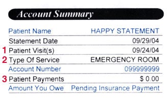 Patient Service Summary