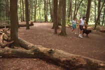 Jacobsburg Environmental Education Center