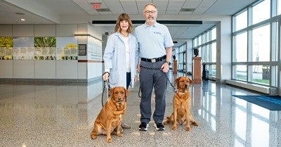 Clancy and Tug - Therapy Dogs 