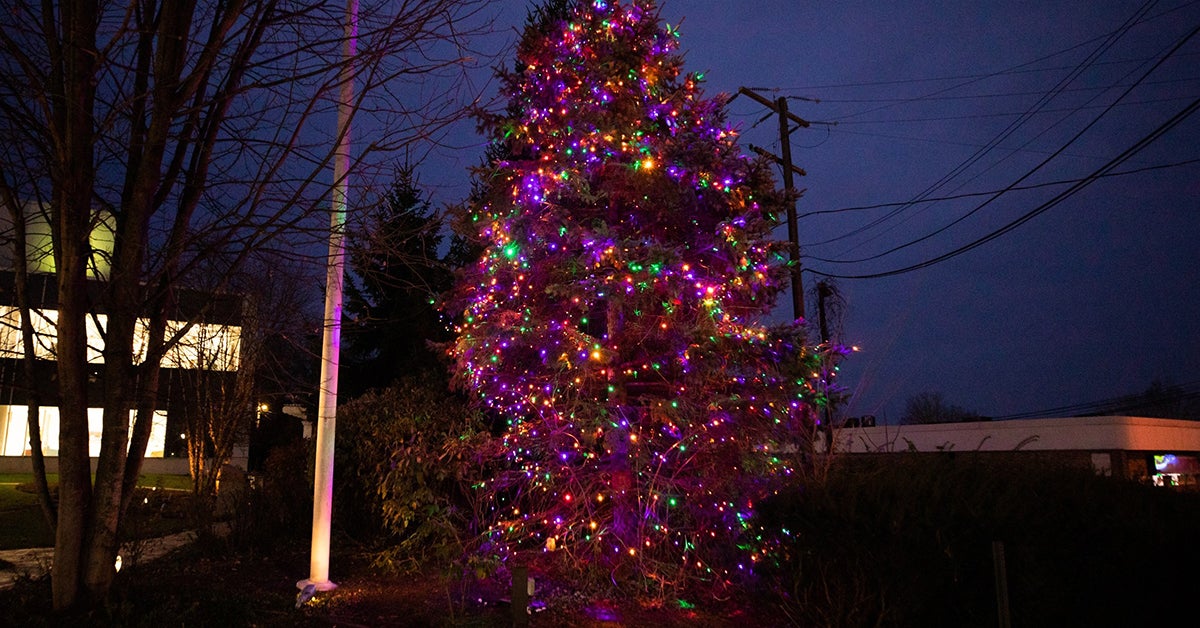 30th Annual Holiday Tree Lighting 