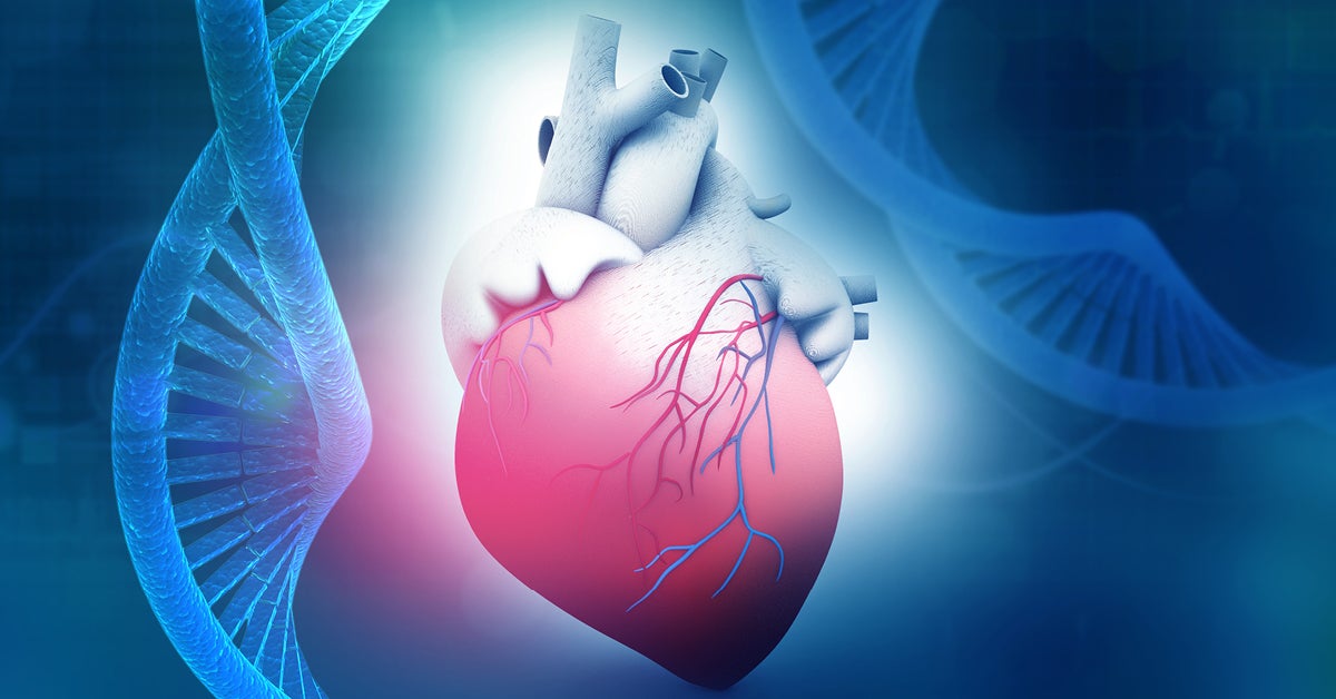 Angina Gene Therapy Trial