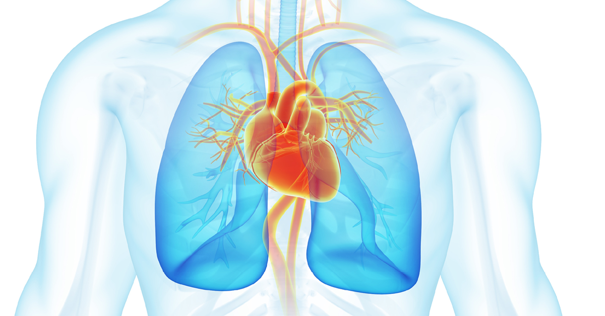 Lung cancer and heart attack screening