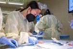 Cadaver Lab Experience for Local High Schoolers