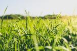 5 Things Infectious Disease Doctors Want You to Know About Lyme Disease