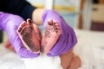 Newborn feet