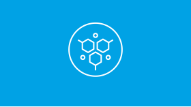 Lung Cancer Targeted Therapy