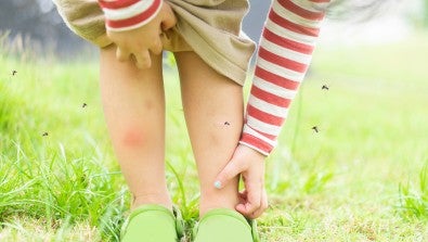 A Summer Savvy Toolkit for You and Your Family