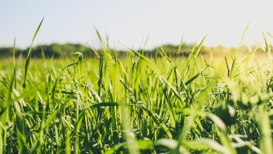 5 Things Infectious Disease Doctors Want You to Know About Lyme Disease