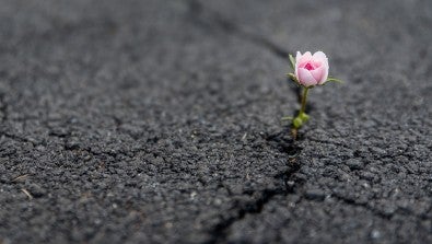 :  Learn some invaluable techniques to help you cope with the difficult moments you face every day.