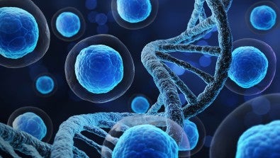 Chimeric Antigen Receptor (CAR) T-cell Therapy Now Available at LVHN