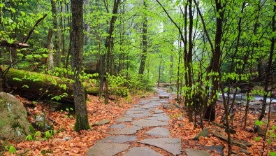 Luzerne County Careers