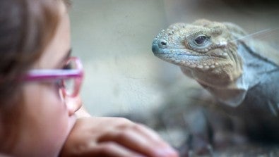 Pocono Snake & Animal Farm