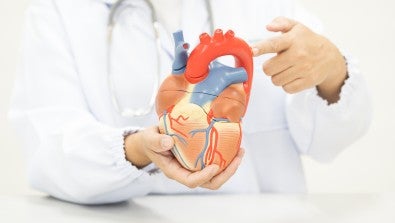 Facts About Cardiovascular Disease from LVHN