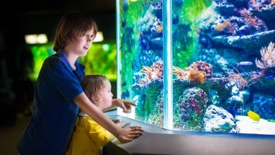 Electric City Aquarium - woman and child looking at fish
