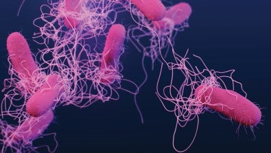 What to Know About Foodborne Illness