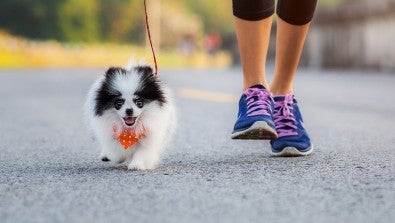 Health benefits of walking and running and ways to increase your daily step count 