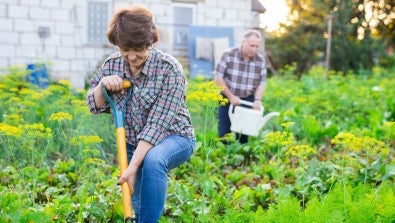 To enjoy gardening without pain, warm up and cool down just like when you exercise.