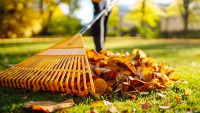 Fall Safety Tips to Keep Your Autumn Accident-Free
