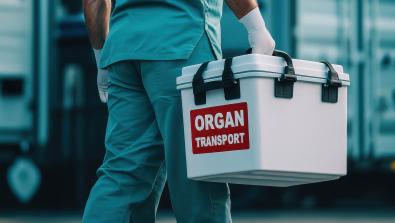 Busting the Myths About Organ Donation 
