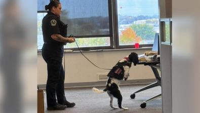 Jefferson Health K-9s Dexter and Cisco Host Training Seminar