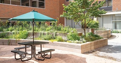 Lehigh Valley Hospital–Muhlenberg Unveils New Community Healing Garden