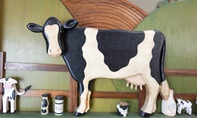 LVHN is first in the region to offer groundbreaking immunotherapy called CAR-T Cell therapy