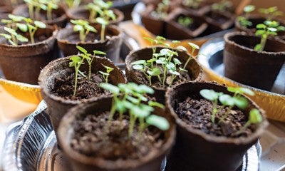 A cancer survival journey with what a woman calls “the A team” at Lehigh Valley Health Network, is inspiring. 