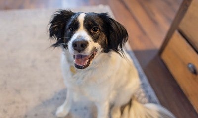 A cancer survival journey with what a woman calls “the A team” at Lehigh Valley Health Network, is inspiring. 