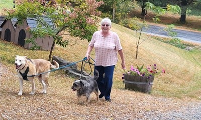 Top Orthopedic Care Supported by Patient Blood Management Team – Worth the Drive for Bloodless Surgery