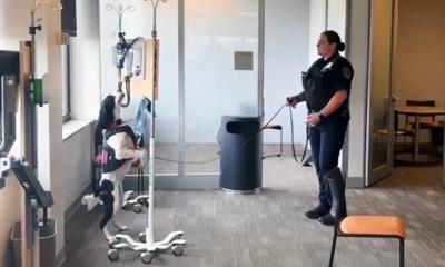 Jefferson Health K-9s Dexter and Cisco Host Training Seminar