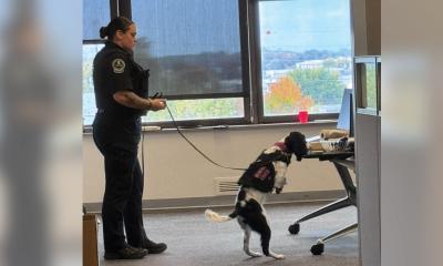 Jefferson Health K-9s Dexter and Cisco Host Training Seminar
