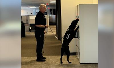 Jefferson Health K-9s Dexter and Cisco Host Training Seminar