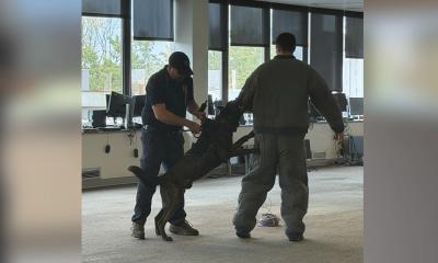Jefferson Health K-9s Dexter and Cisco Host Training Seminar
