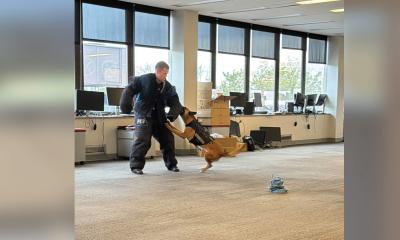 Jefferson Health K-9s Dexter and Cisco Host Training Seminar