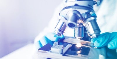 Researcher using a microscope