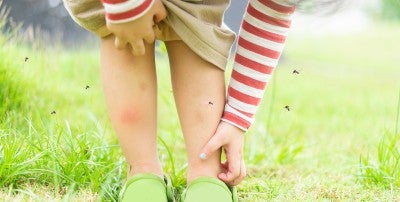 A Summer Savvy Toolkit for You and Your Family