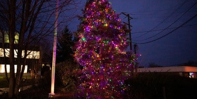 30th Annual Holiday Tree Lighting 