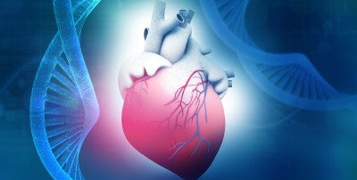 Angina Gene Therapy Trial