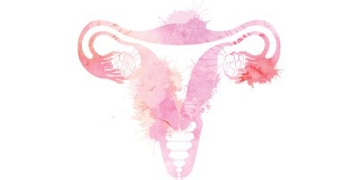 Women’s Health Specialty Programs