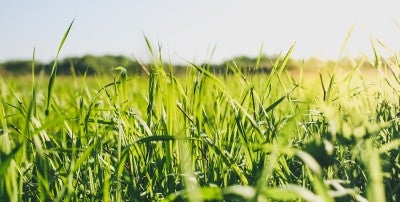 5 Things Infectious Disease Doctors Want You to Know About Lyme Disease