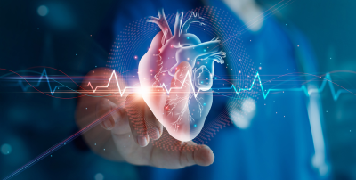 Positive News From Gene Therapy Trial Involving LVHN Angina Patient