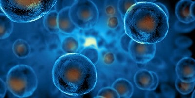 Lehigh Valley Topper Cancer Institute Launches Stem Cell Transplant and Cellular Therapy Program