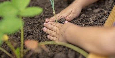 LVHN/Kellyn School District Program 