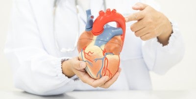 Facts About Cardiovascular Disease from LVHN