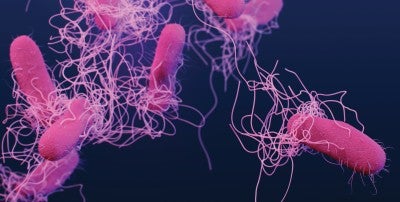 What to Know About Foodborne Illness