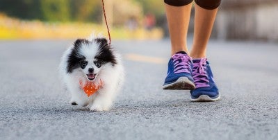Health benefits of walking and running and ways to increase your daily step count 