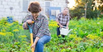 To enjoy gardening without pain, warm up and cool down just like when you exercise.
