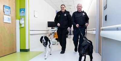 Dexter and Cisco are on the case, keeping LVHN colleagues and patients safe