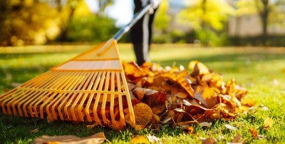 Fall Safety Tips to Keep Your Autumn Accident-Free